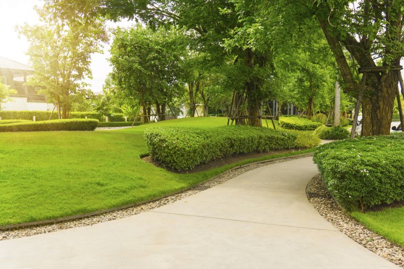 Concrete Walkway Installation in Fort Collins, CO